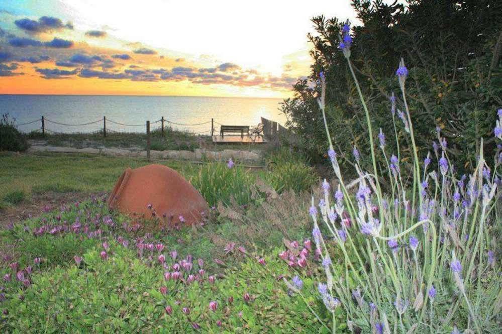 Blue Coral Beach Villas Pafos Zewnętrze zdjęcie